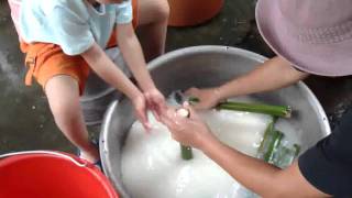 竹筒飯體驗