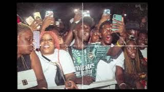 L’Oiseau Rare  - YO❗️(Lifestyle Video)