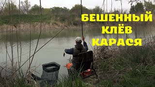 Рыбалка На Удочку Бешенный Клёв Карася В Канале, Клёв Рыбы