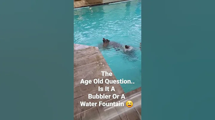 The Age Old Question... Is It A Bubbler Or A Water Fountain? 😆