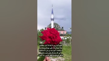 من سورة الأعلى ; تلاوة خاشعة مؤثرة / حالة واتساب ؛ قرآن كريم / ستوري انستا ؛ قرآن كريم