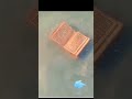 koi to Allah likh do 🤲🤲 #viralvideo #shorts