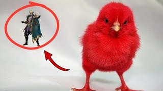 STRONGEST PLAYER IN ML HEHE | CHIKIN screenshot 5