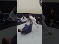 Lapela #sweep #raspagem #bjj #jiujitsu #ibjjf #jiujitsulifestyle #jiujitsuvideos #ufc
