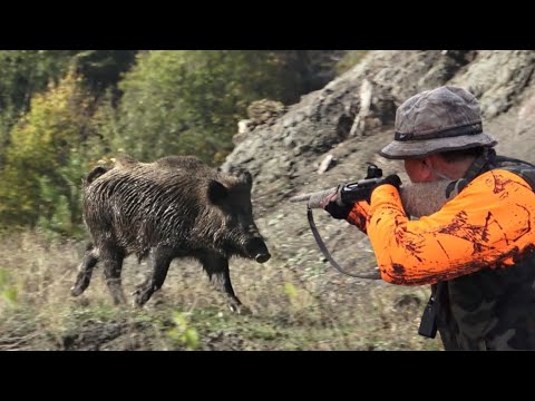 Malatya'da Efsane bir Domuz Avı / wild boar hunting Malatya - TÜRKİYE