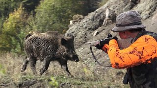 Malatya&#39;da Efsane bir Domuz Avı / wild boar hunting Malatya - TÜRKİYE