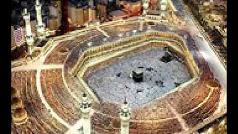 سورة الزمر بصوت الشيخ ياسر سلامة
