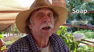 #How He Turned Desert Sand Into Fertile Farm Land In 3 Months!