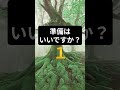 ​【お金の親和性】この音に惹かれるのは、あなたが「お金に愛される体質」に変わった証拠。