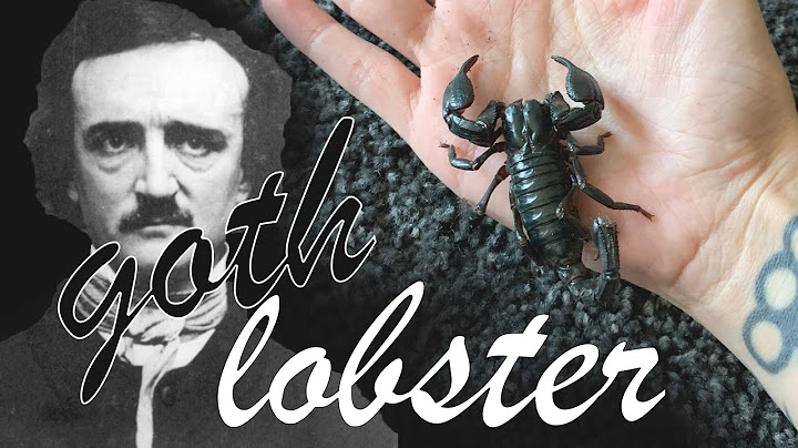 HANDLING my SCORPION · great beginner species