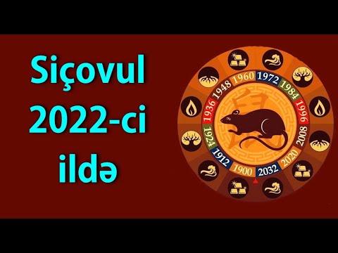 Video: Siçan qız nədir?