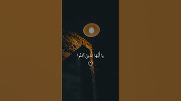 تلاوة خاشعة بصوت القاريئ #اسلام_صبحي  🥹💗 #quran #المصحف #قران_كريم