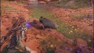 Horizon Forbidden West zona farmeo jabali