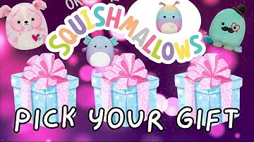 Pick Your Gift Squishmallow Present! Don