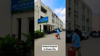 Celebrity Animal Hospital In Dhaka City Bongo Market Road #shorts #viral #hospital #dhakacity #animalhospital Net Worth