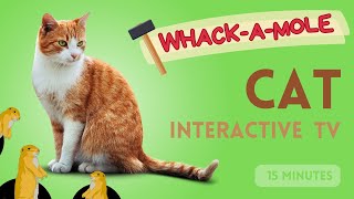 CAT GAMES : Take Your Cat to the Arcade! 🕹️Whack-A-Mole 🕹️