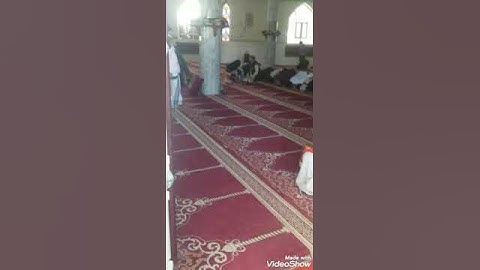 القارئ/ عيسى علي العصار