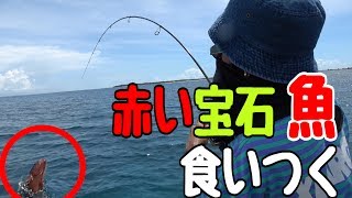 釣りいろはと一緒に釣り図鑑を埋めろ #1