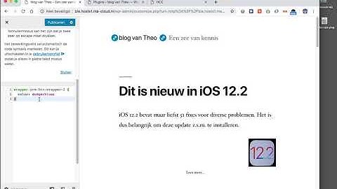 Site met WordPress 7: eigen CSS met Customizer