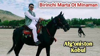 Ozbekistonda Bunaqa Otlar Bormi? Afgoniston, Kobul