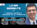 Liver segments  common hepatic lesions on ultrasound  dr sanjeev mani  liver ultrasound tips