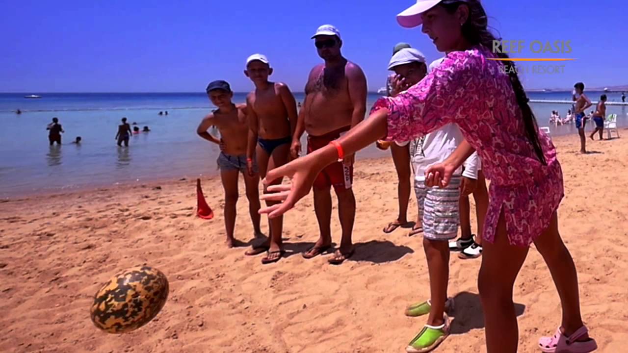 Reef Oasis Beach Resort Drone Panorama 2016