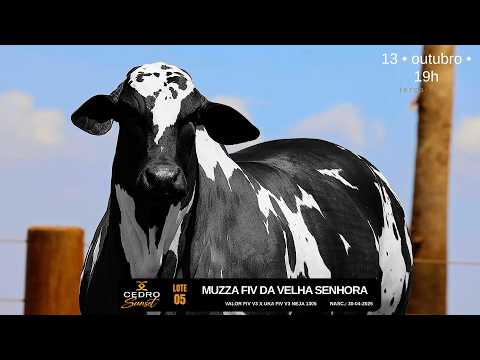 LOTE 05   GENI 282