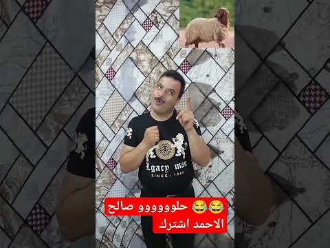 لو خيروك بقره  صالح الاحمد