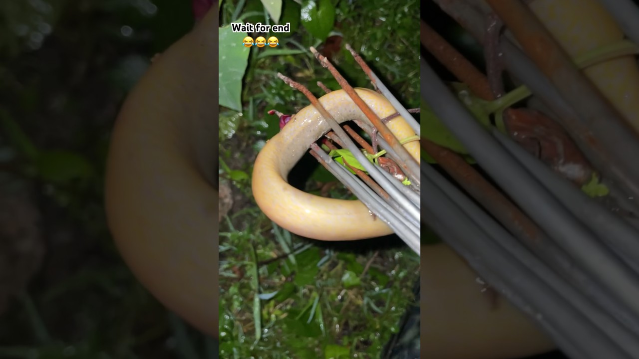 চিকাৰ success 😂 assamese mini vlog 