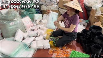 👍🍐. CHỐNG RUỒI VÀNG HIỆU QUẢ NHẤT . Túi vải ko dệt may thủ công , dùng bền 3-4 vụ 