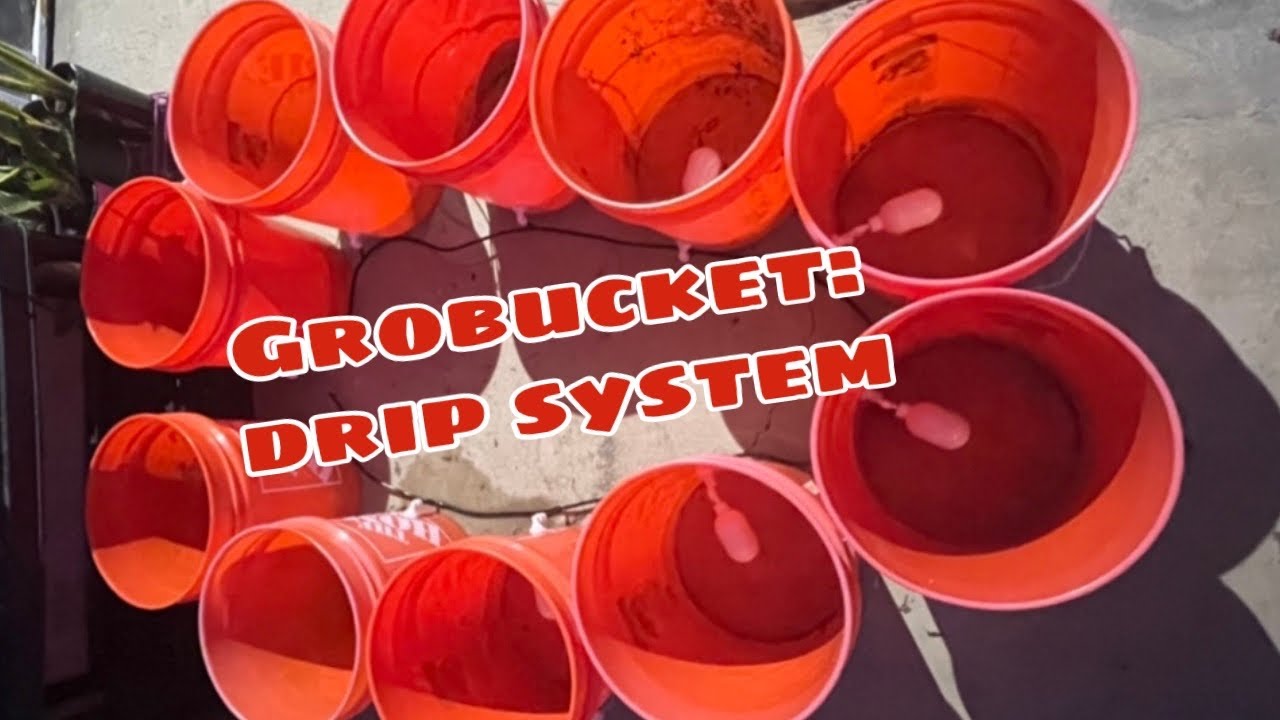 GroBucket: Drip System
