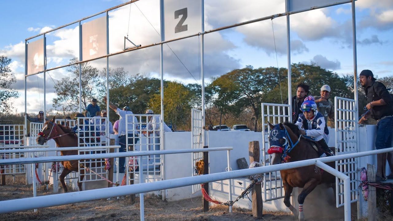 D1124 VS KILLER--Carriles 