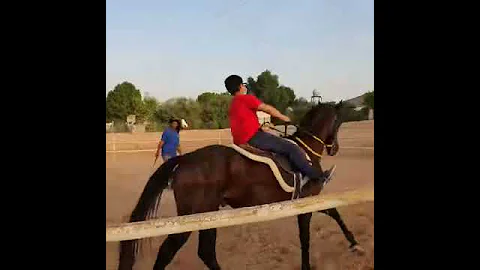 Furqaan cantering