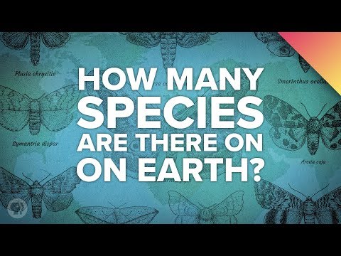 Video: How Many Animal Species Are There