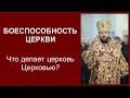 Боеспособность церкви. Что делает церковь Церковью? / Александр Петропольский