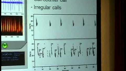 Ana Sirovic - Name that Tune: Using Sound to Study Marine Mammals