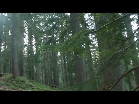 Mount Forgotten - Mountain Loop Highway