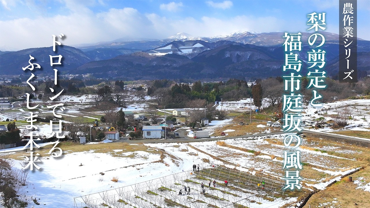 ドローンで見る「梨の剪定と福島市庭坂の風景」