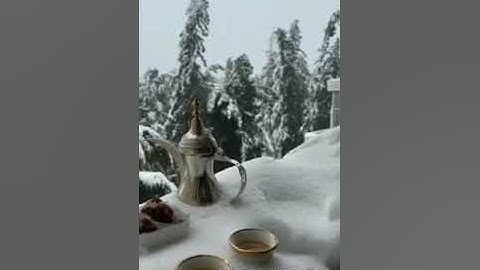 سورة يوسف  القارئ أنس المالك
