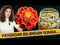 Küçələrdən Yığıb Daşıyırlar - İnsanların 90%-i Bu Bitkinin Faydalarından Xəbərsizdir