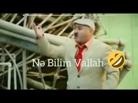 qilman doktor nebilim vallah