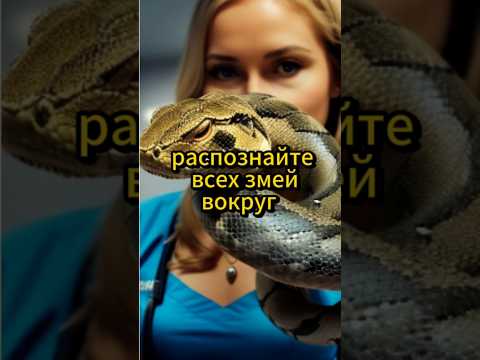 Распознайте всех змей вокруг. #психология #саморазвитие #motivation #motivational