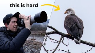 The REALITY of Wildlife Photography as a Beginner \/\/ Photographing Bald Eagles in Washington