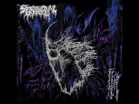 Spectral Voice - "Thresholds Beyond" (Dark Descent Records)
