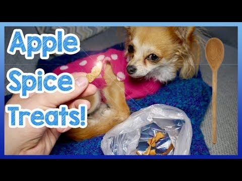Video: DIY Fall Dog Treats: Buñuelos caseros de Apple Dog