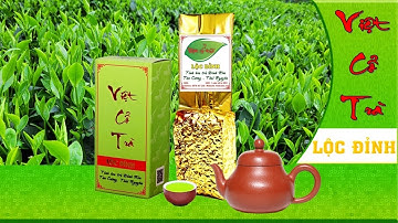 Việt Cổ Trà Lộc Đỉnh - Tinh Hoa Trà Đinh Nõn Tân Cương, Thái Nguyên