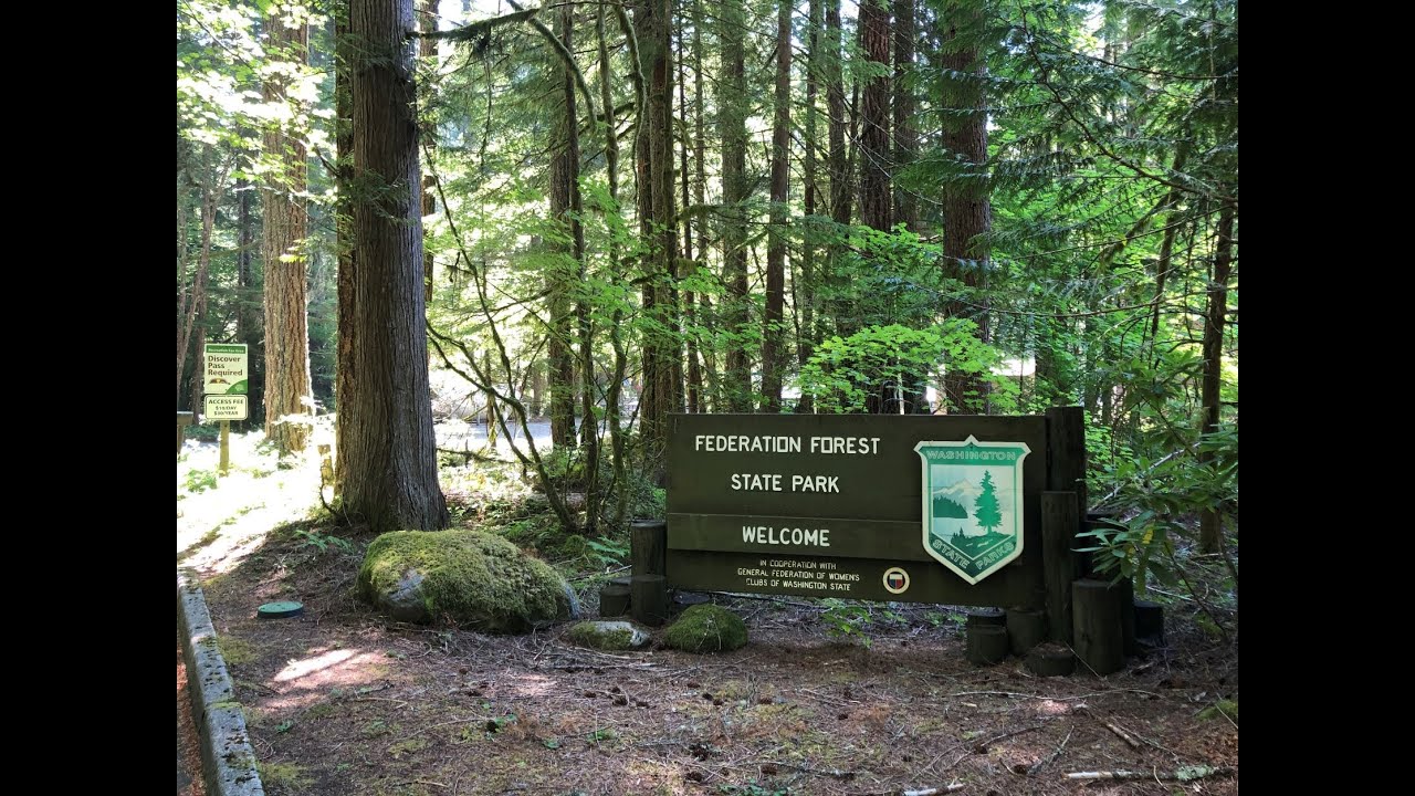 Accessible Trails: Low Barrier hike at Federation Forest State Park, near Enumclaw, WA  1/2 mile