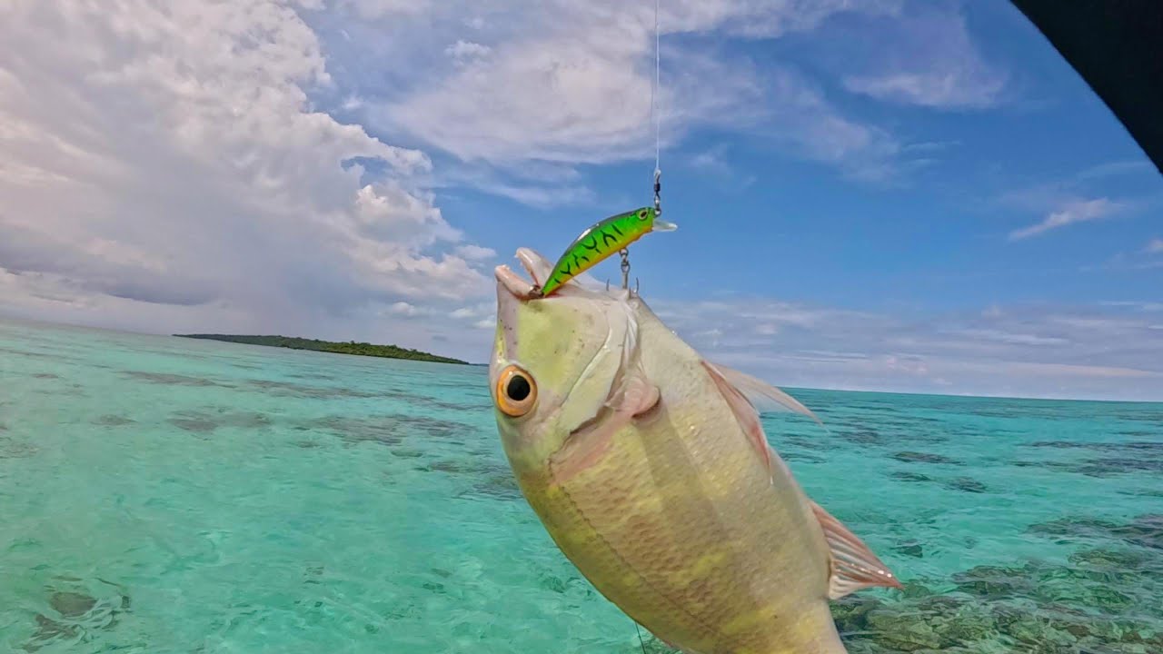 Tutorial Mancing Casting Ultralight, Menggunakan Reel Spinning, di Spot Karang Dangkal