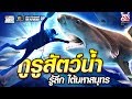 ปลาหมอ กูรูสัตว์น้ำ รู้ลึก ใต้มหาสมุทร | SUPER100