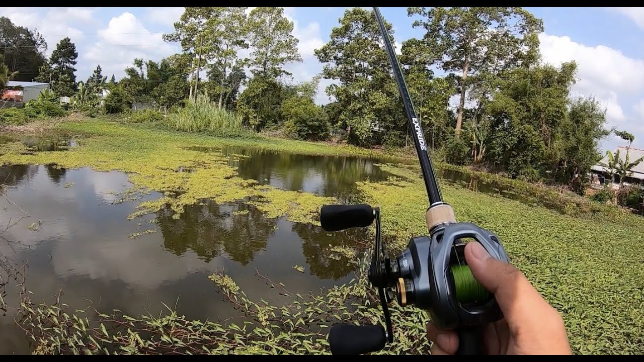 Điểm câu ao tù lâu năm chưa tát và cái kết..